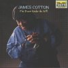 James Cotton.jpg (2738 octets)